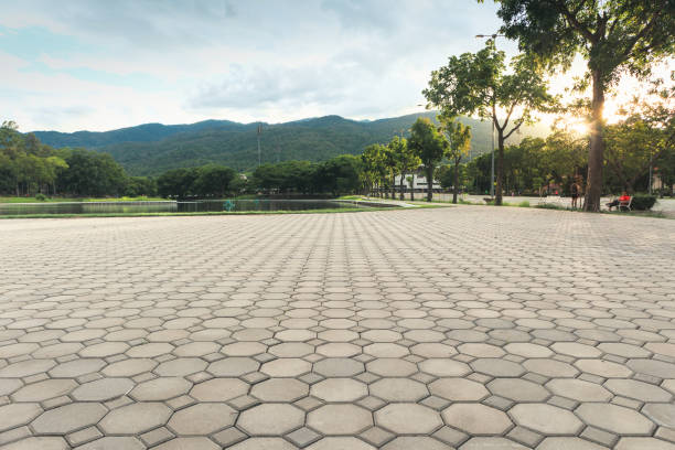 Best Driveway Paving Near Me  in St Bonifacius, MN