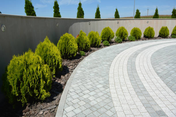 Best Brick Driveway Pavers  in St Bonifacius, MN